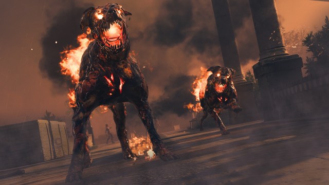A promotional image shows two Hellhounds from Modern Warfare Zombies seen in an aggressive pose.