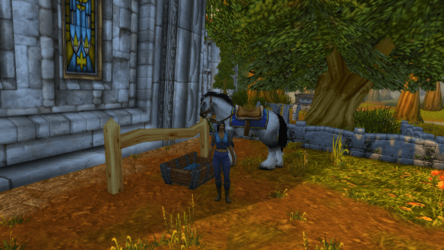 Image of a female human Paladin in WoW Classic.